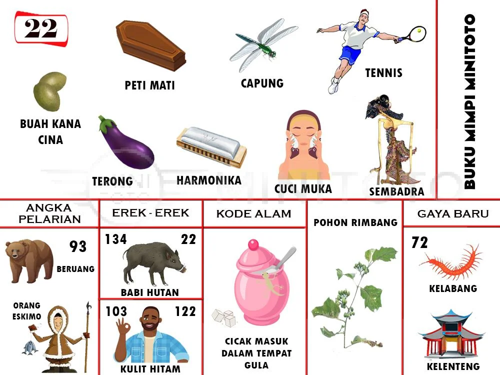 buku mimpi erek erek togel 22